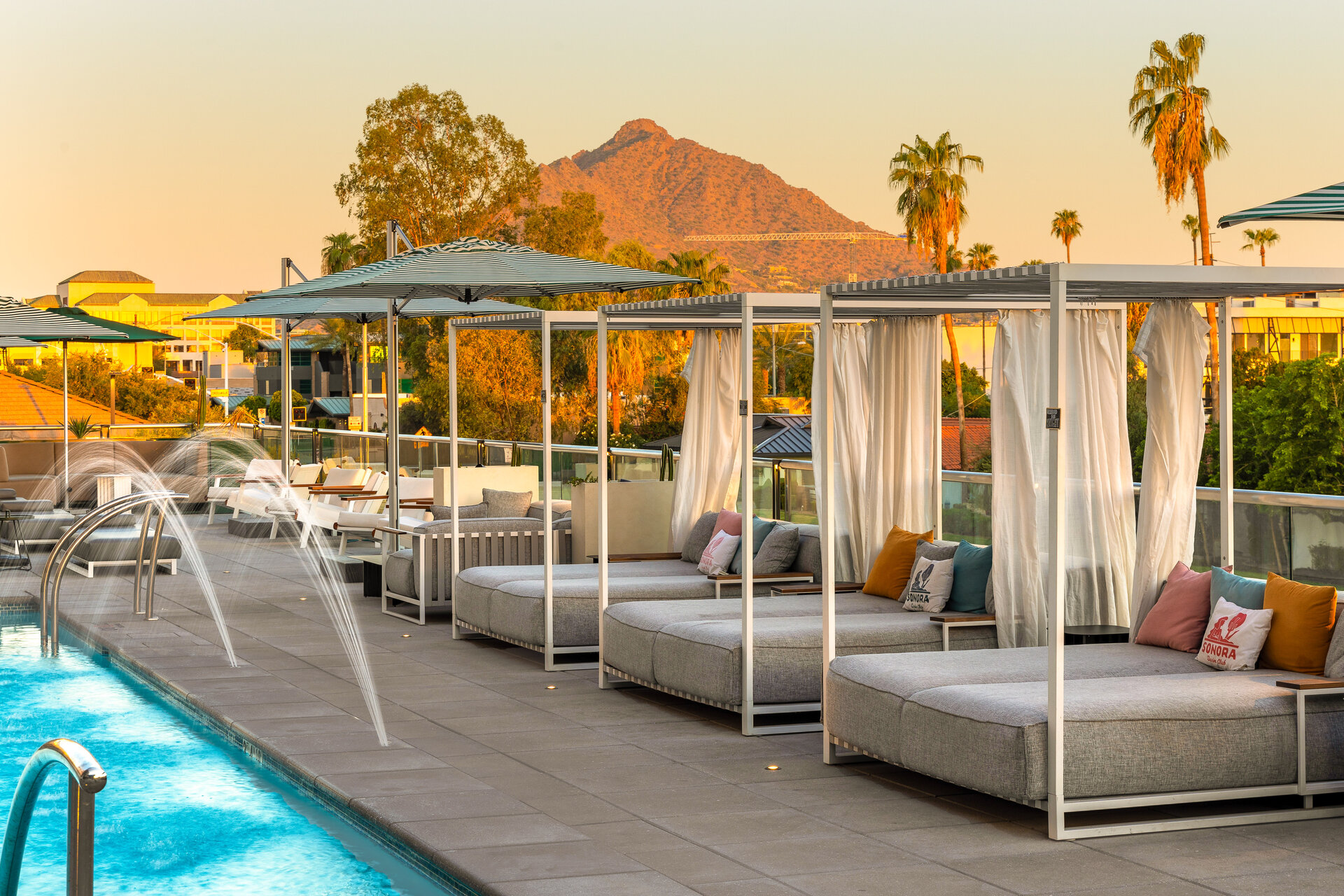 Pool & Rooftop Bar In Scottsdale 